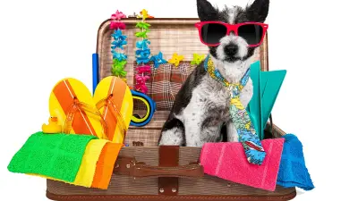 Куда поехать летом: топ-5 лучших мест для отдыха в Казахстане по версии Минтуризма