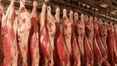Минсельхоз: Дефицита говядины в стране нет, экспорт сохранится в рамках квот