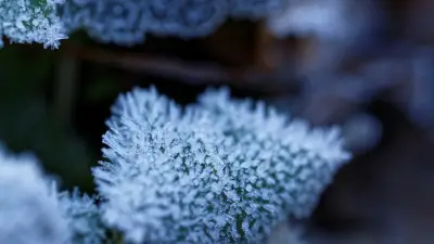 На юге +14, на севере -30: какой будет погода в мегаполисах Казахстана в ближайшие три дня