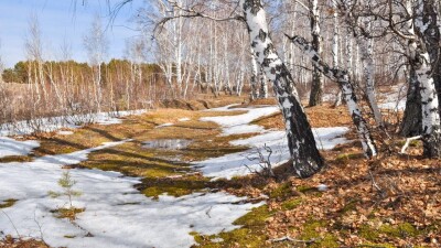 Весне дорогу: какая территория Казахстана ещё под снегом
