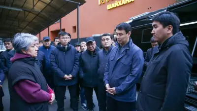 Аким Алматы поручил провести проверку по фактам самозахвата территорий в микрорайоне "Коктем"