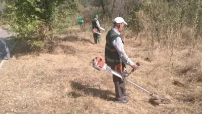 Пятый класс пожарной опасности установили в Алматы из-за жары: в городе активно косят сухую траву