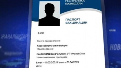 "Принципиальных разногласий нет". Казахстан и Россия готовят взаимное признание паспортов вакцинации