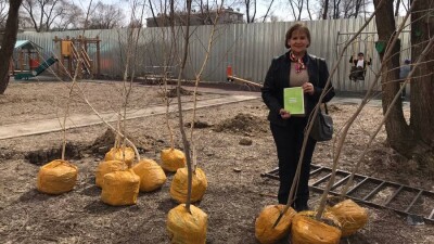 В Алматы жителям раздадут 2400 саженцев деревьев