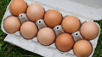Цены на яйца на всех птицефабриках Казахстана снизились на 16%