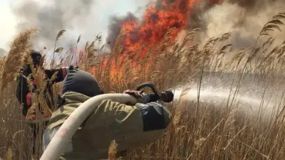 280 гектаров тростника горели на территории природного резервата в Атырауской области