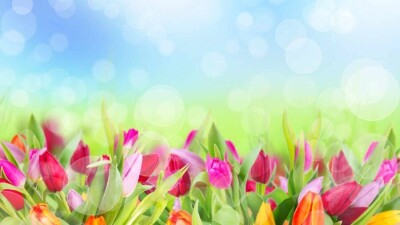 В адрес президента Казахстана поступают поздравительные телеграммы накануне Наурыза