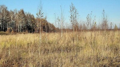 В Мангистауской области вернули в госсобственность более 350 тысяч гектаров неиспользуемых земель
