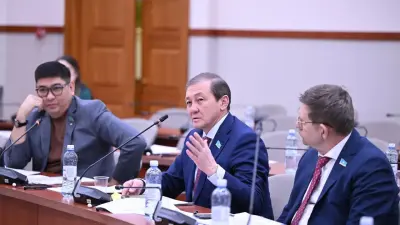 Проект закона о рейтинговой деятельности представили в мажилисе