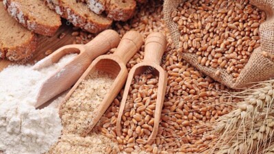 Какой урожай ожидают в Казахстане