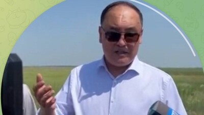 Глава Минсельхоза прибыл в Костанайскую область, чтобы лично контролировать борьбу с саранчой