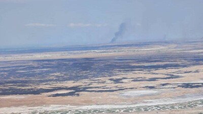 На 150 гектарах горит камыш в Иле-Балхашском резервате в Алматинской области