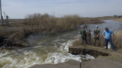 Затопило 163 дома в шести областях: в правительстве обсудили паводковую ситуацию