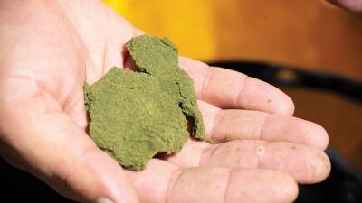 Студент колледжа в Астане торговал гашишем