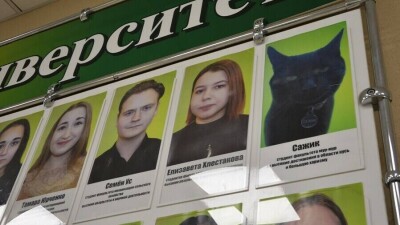 Кот стал почётным студентом университета в Благовещенске