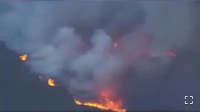 Мощный природный пожар в Калифорнии охватил 300 гектаров