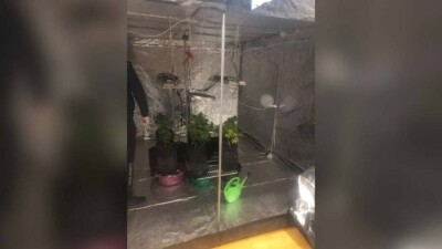 В Кокшетау ликвидировали фитолабораторию по производству наркотиков