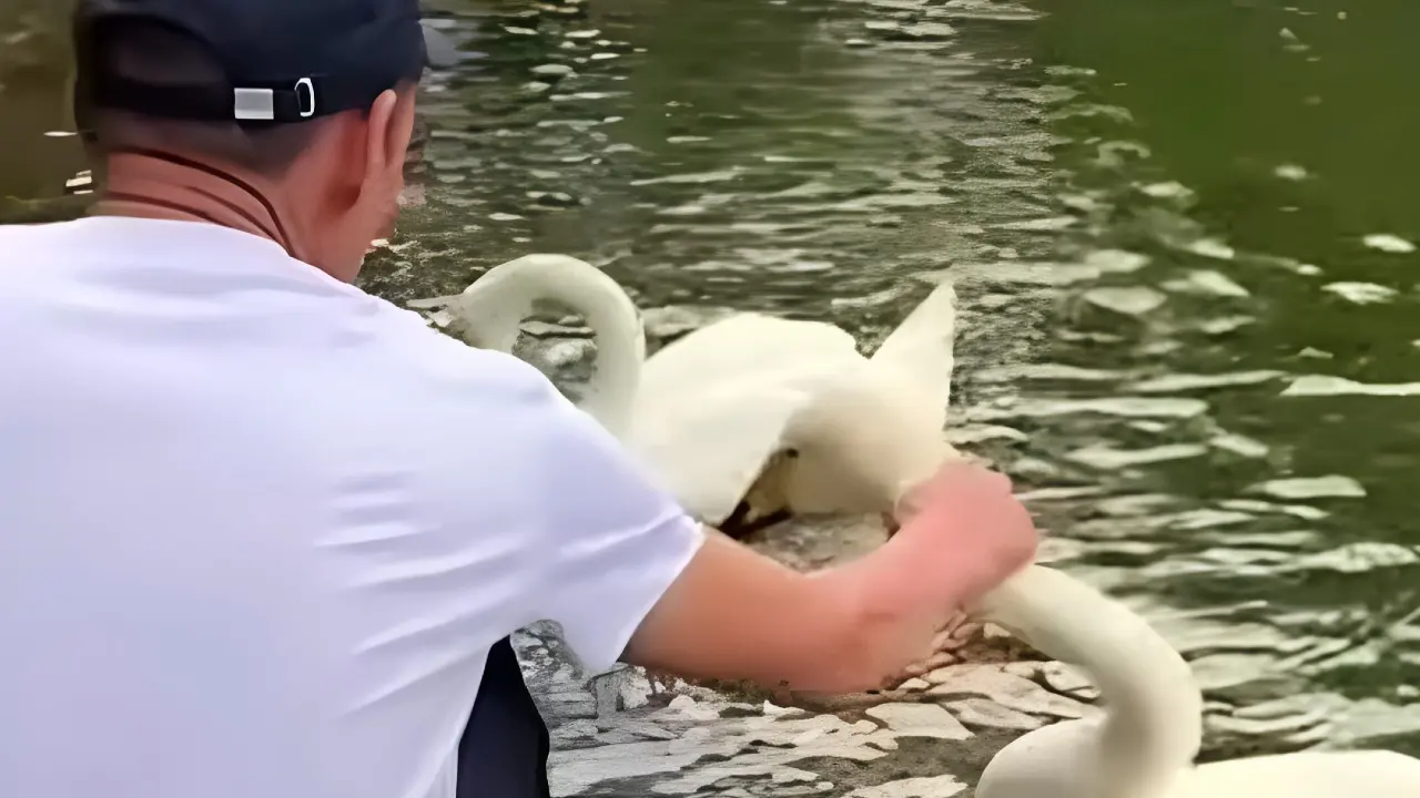 Фото со страницы ботанического сада в Instagram