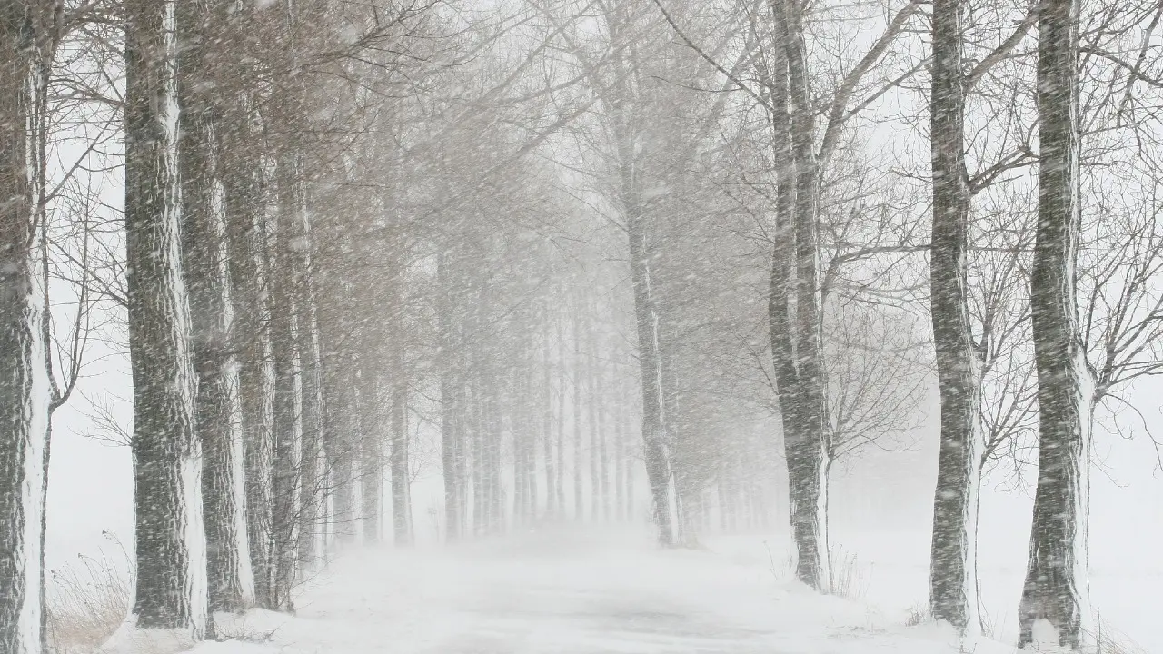 Фото Depositphotos.com