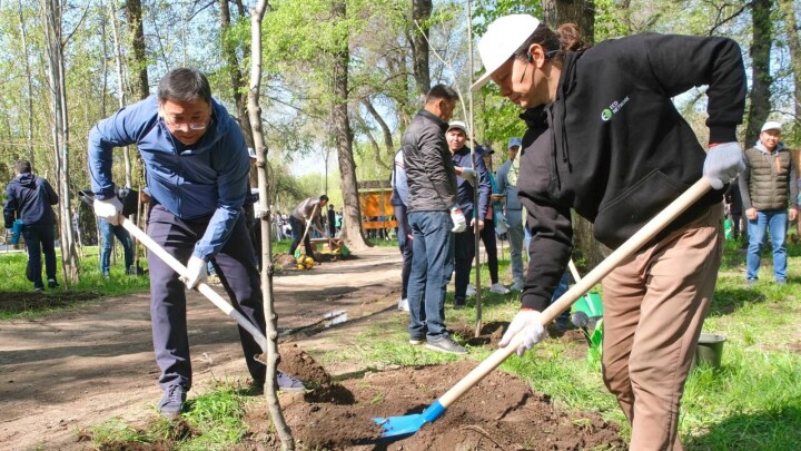 В Алматы на общегородском субботнике собрали 15 тысяч кубометров мусора и высадили 5000 деревьев
