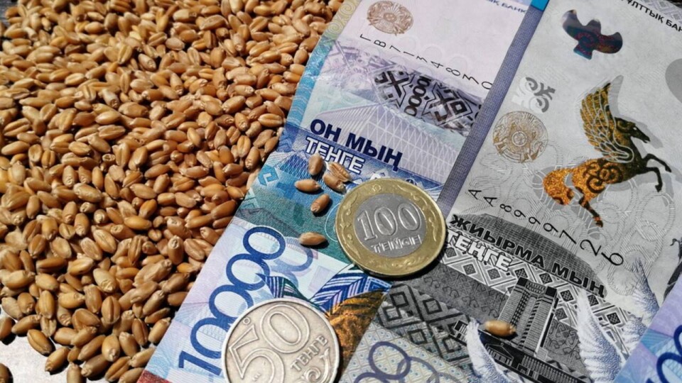 "Вернуть позиции". Продкорпорация готова обеспечить поставки более 1 млн тонн пшеницы в Азербайджан