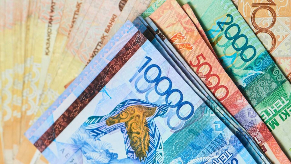 В Павлодарской области субсидии на социальные рабочие места выплачивали "мёртвым душам"