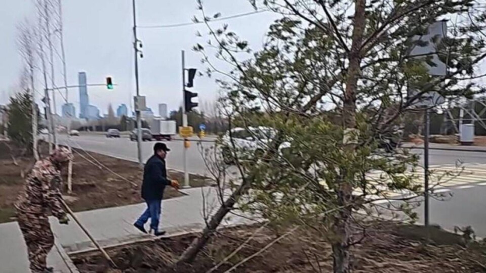 Сорванная кровля, упавшие деревья, перевёрнутые остановки. В Астане устраняют последствия стихии
