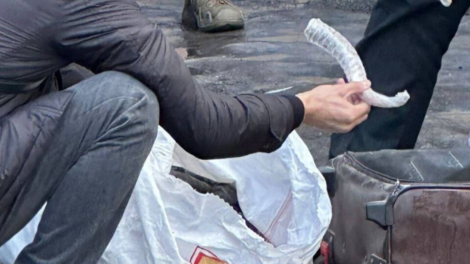 Две сумки рогов сайгака изъяли у сельчанина в Талдыкоргане