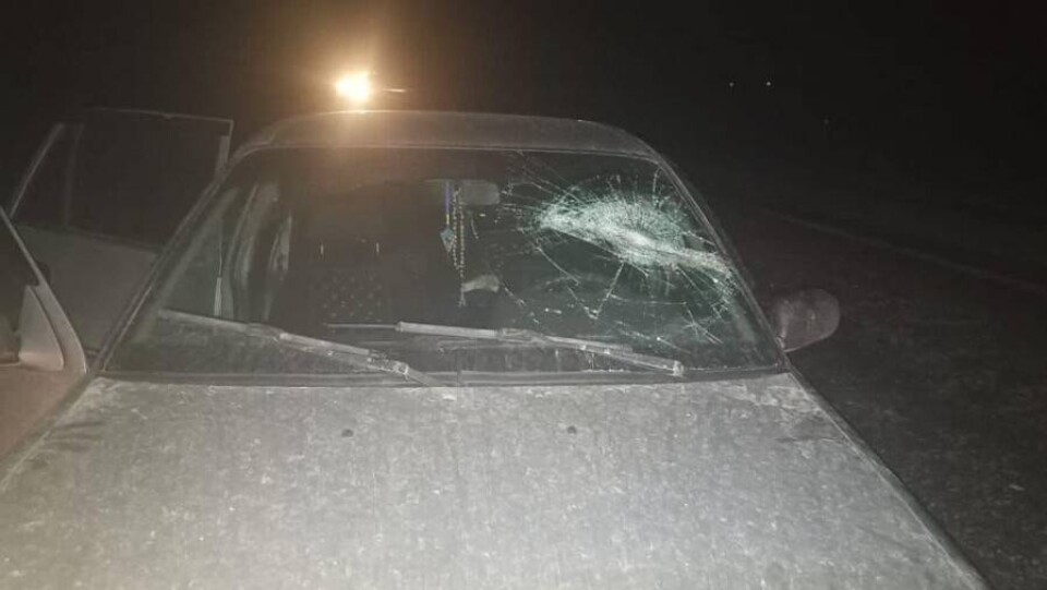 В Туркестанской области неизвестные напали на егеря