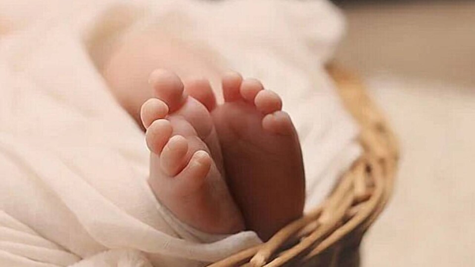 377 детей родились во время паводка в регионах с режимом ЧС