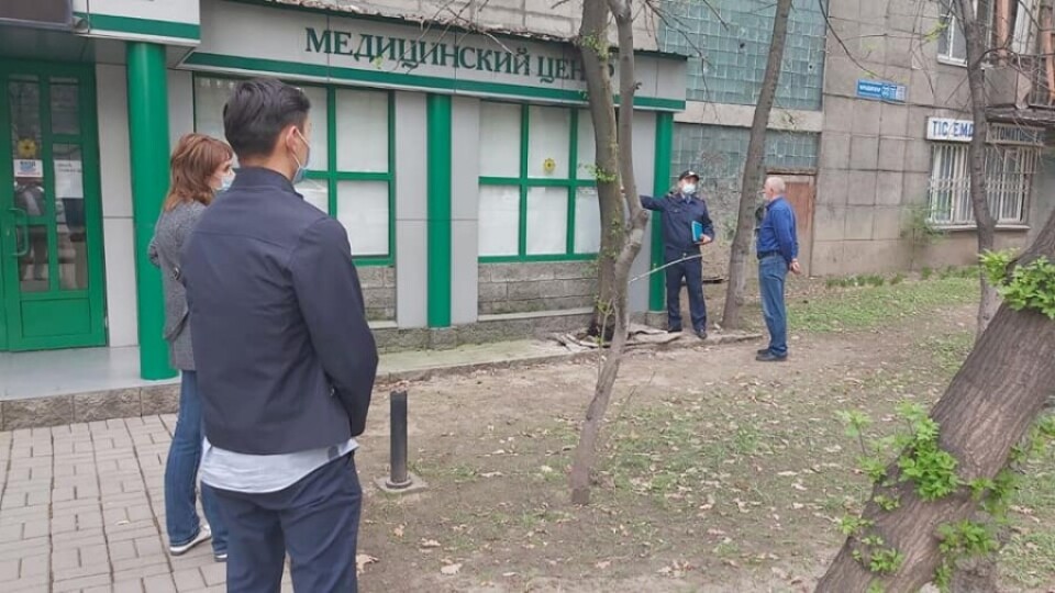 Обработали керосином: в Алматы предприятие-нарушитель вместо одного погубленного дерева высадит двадцать новых