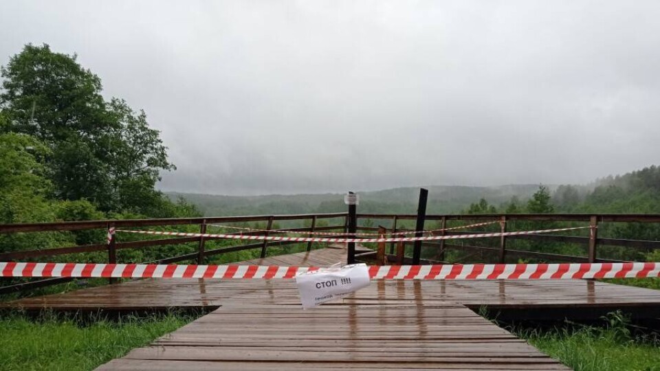 Под Калининградом обрушилась смотровая площадка с 27 туристами, двое госпитализированы