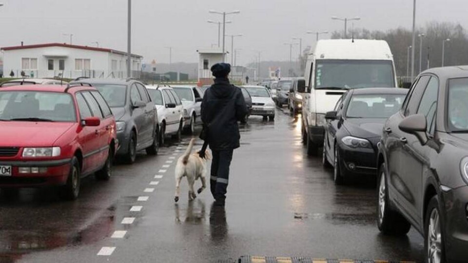 Закрытие границ в 63% случаев не помогло сдержать распространение Covid-19, считают учёные