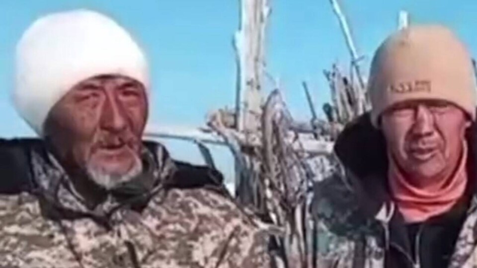 Пастуха и 150 овец три дня искали в Жетысуской области