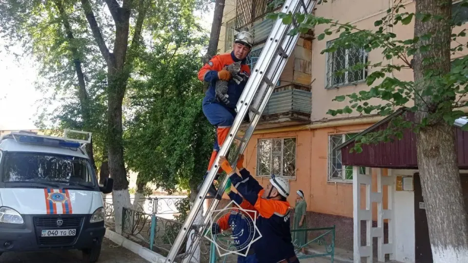 Фото МЧС РК