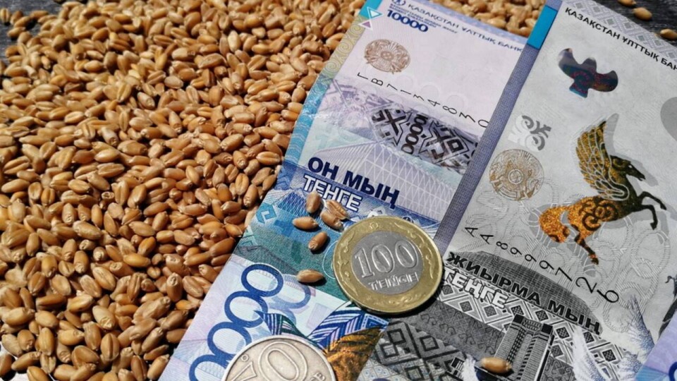 В Китае дорожает казахстанская пшеница. Что мешает расширению поставок