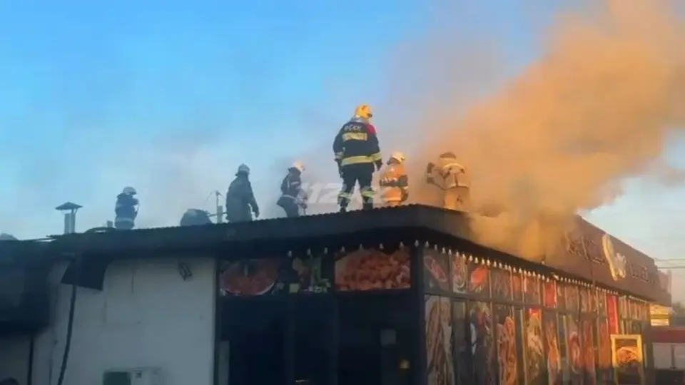 Фото: кадр из видео