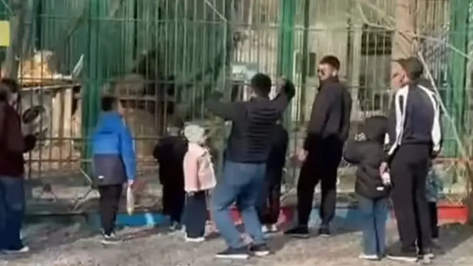 Фото: кадр из видео