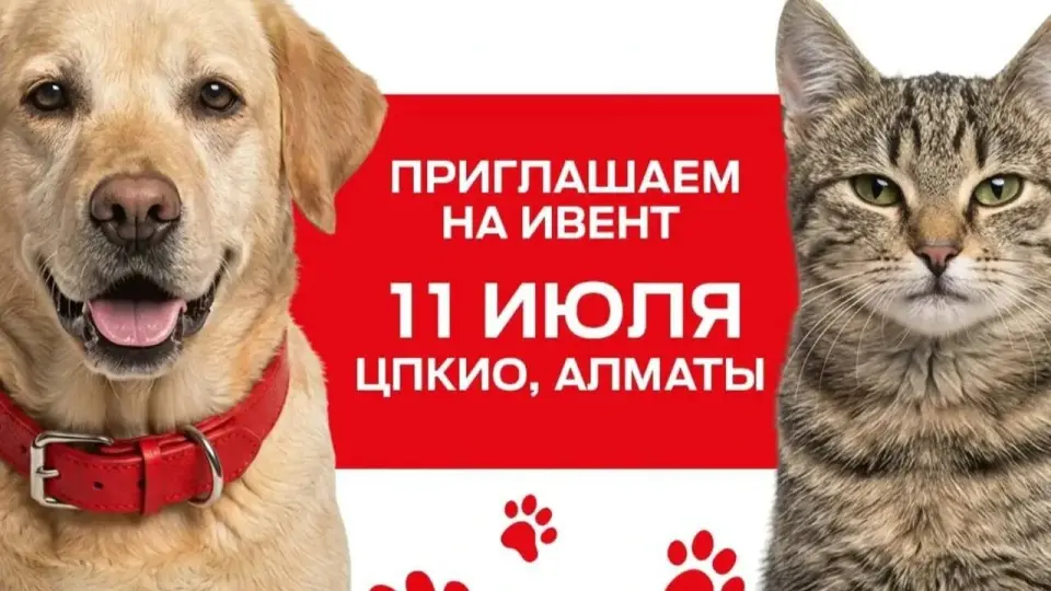 Фото благотворительной организации "Давай поможем"