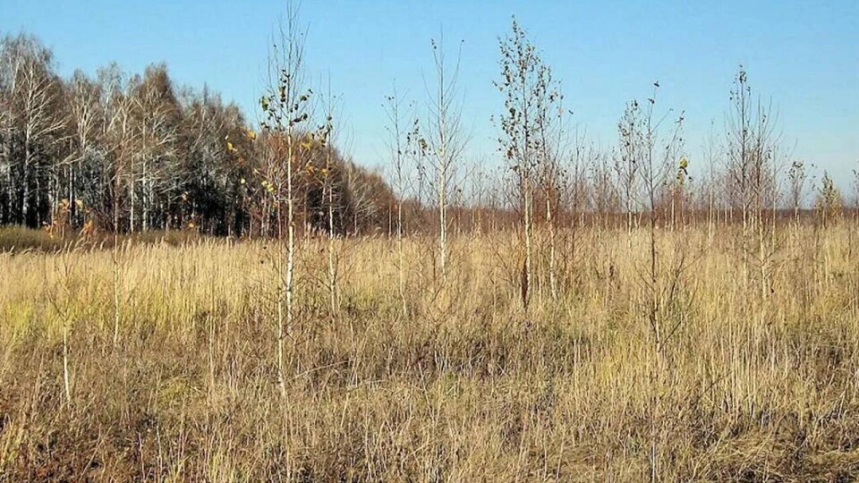 В Мангистауской области вернули в госсобственность более 350 тысяч гектаров неиспользуемых земель