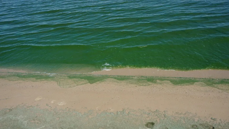 Тело утонувшего ребёнка нашли в Акмолинской области спустя 10 дней поисков