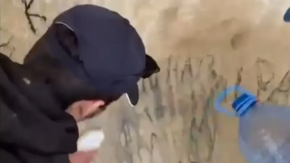 Фото: кадр из видео