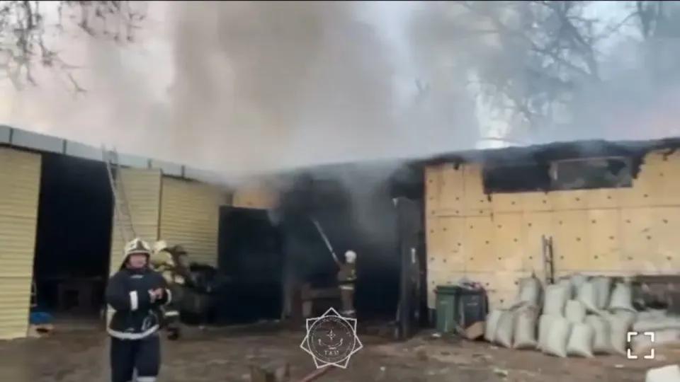 Фото: кадр из видео