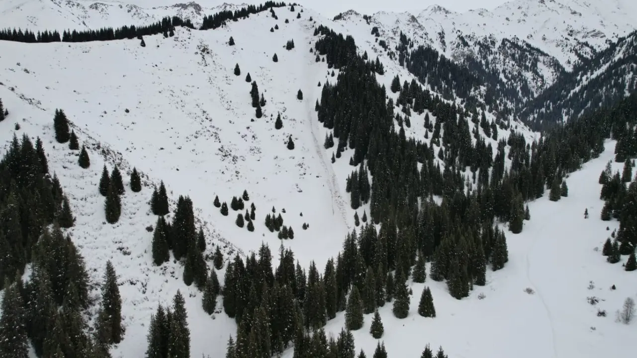 Фото ДЧС Алматы