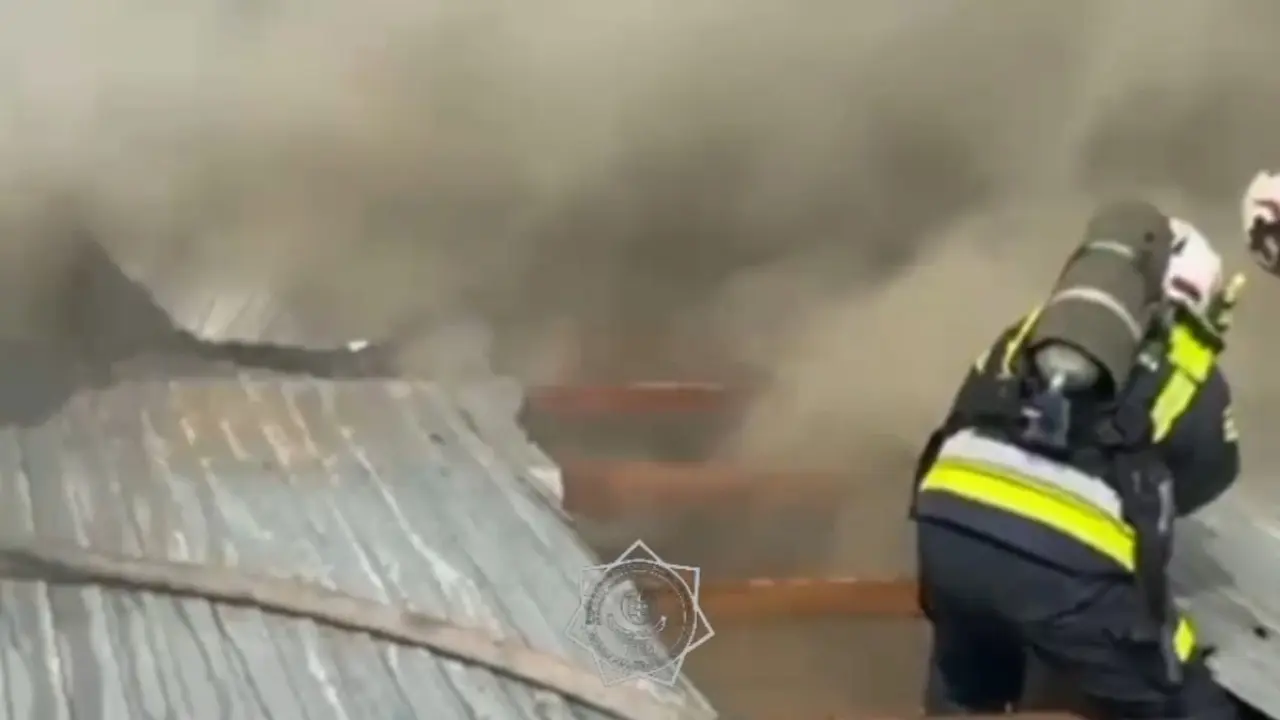 Фото: кадр из видео