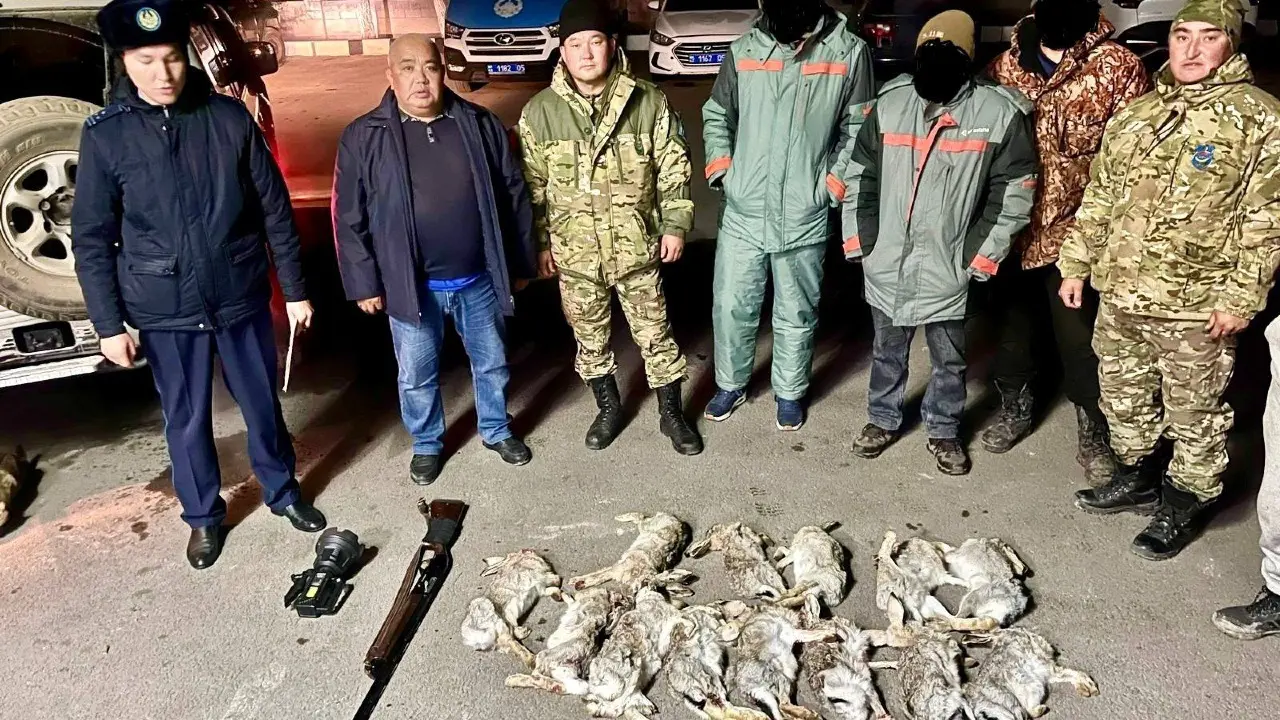 13 зайцев застрелили браконьеры в резервате "Иле-Балхаш"