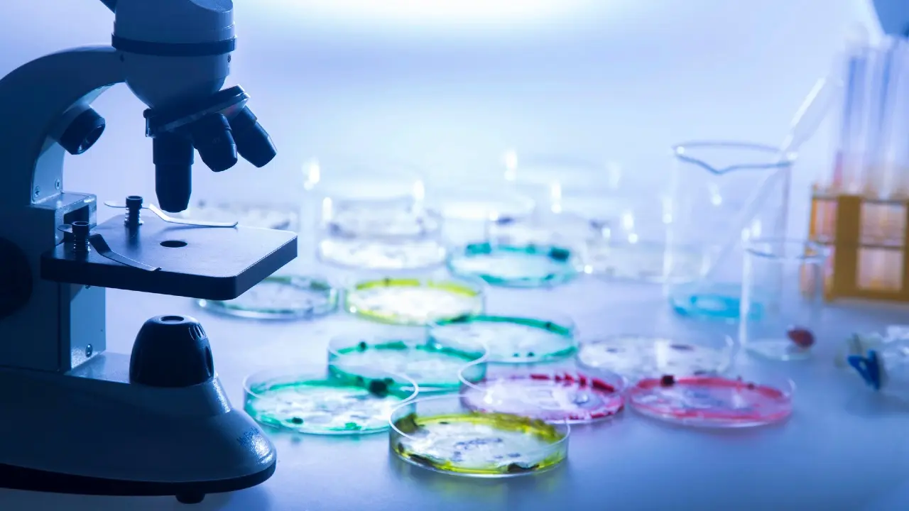 Опасно ли захоронение сибирской язвы в Алматинской области? Ответ акимата