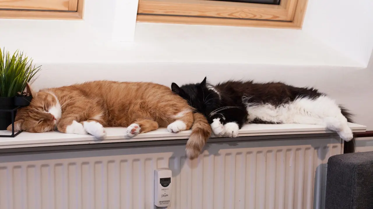 Фото Depositphotos.com