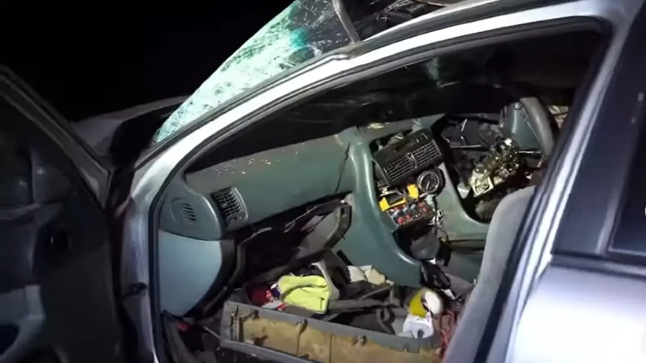 Фото: кадр из видео