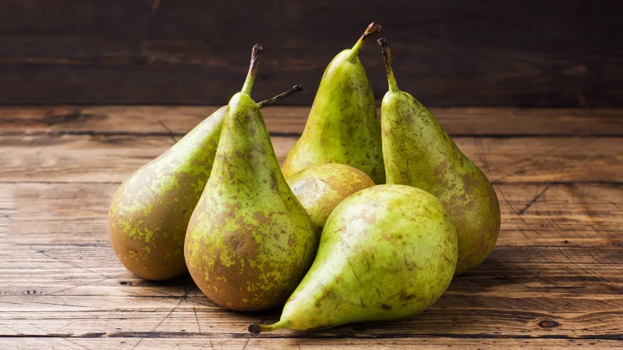 Фото Depositphotos.com